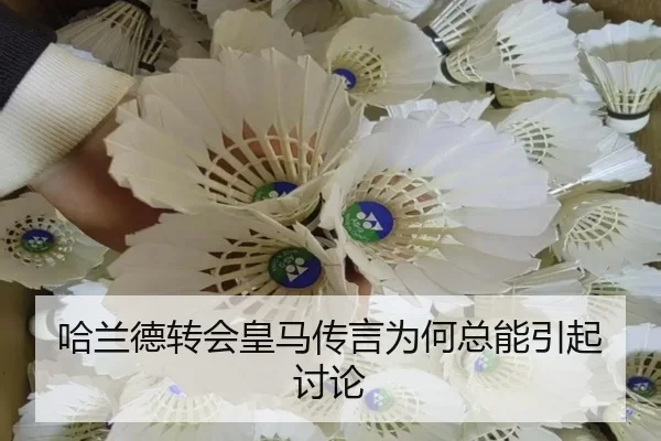 ha-lan-de-zhuan-hui-huang-ma-chuan-yan-wei-he-zong-neng-yin-qi-tao-lun-2-108.jpg